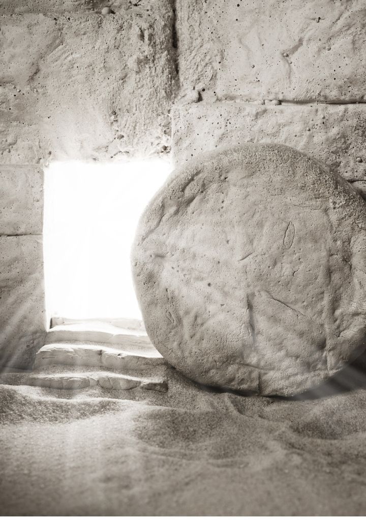 Pergaminhos e Livros Antigos